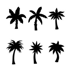 Fototapeta premium Isolated palm tree on the white background. palm Tree silhouettes. Tree hand drawn. Vector EPS 10.