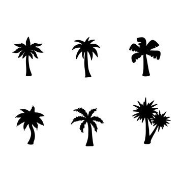 Isolated palm tree on the white background. palm Tree silhouettes. Tree hand drawn. Vector EPS 10.