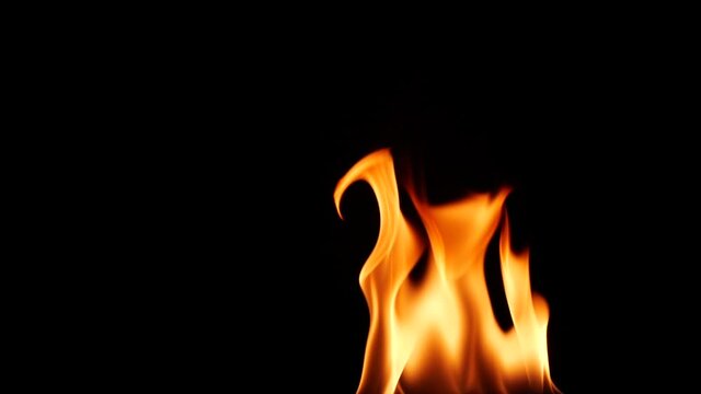 Slow motion closeup campfire burn on black background, fire flame design element