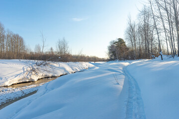 Obraz premium Not frozen stream in the winter forest. Winter frosty day