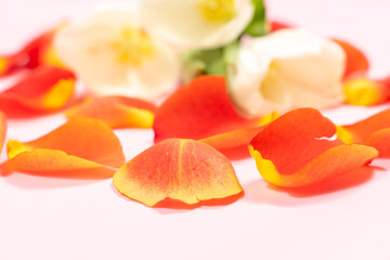 flower composition with red rose petals, selective focus