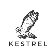 Fototapeta na wymiar flying kestrel bird logo vector icon illustration