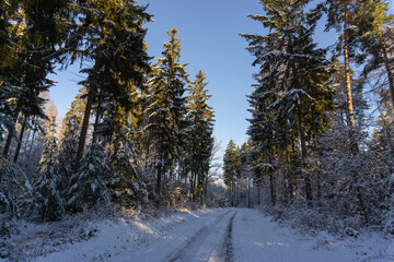 Landschaft im Winter