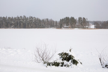 Frozen lake in winter with many snow.