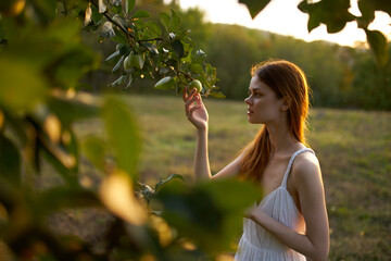 green leaves of trees summer and woman with ripe apples white dress model