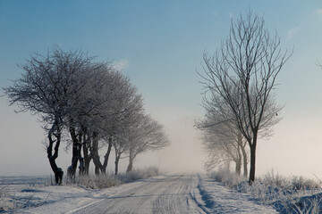 zima © marsad