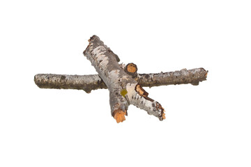 piece of branch isolated on white background