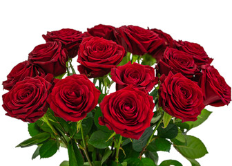 15 Red Naomi roses