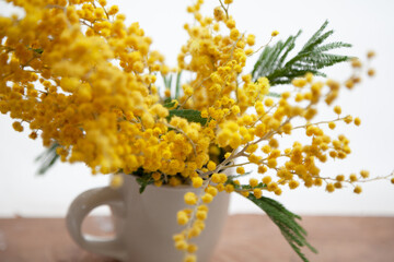 Branch of yellow mimosa on white background top view