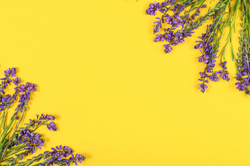 Frame made with purple flowers on yellow background. Concept Spring or Summer backdrop. Template...
