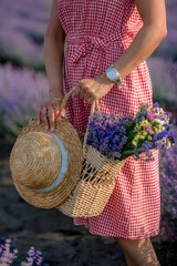 Charming young woman in Blooming Lavender fields. Back view of lovely lady wearing red Dress, hat. Lavender essential oil with fresh lavender flowers