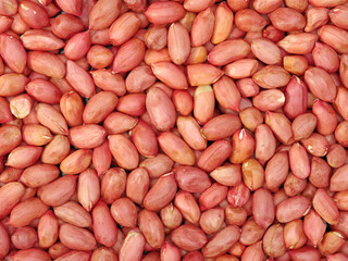 close up of peanuts