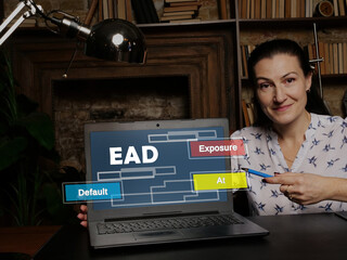  EAD Exposure At Default - Thoughtful female person showing laptop screen