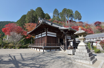 紅葉の善峯寺　釈迦堂　京都市