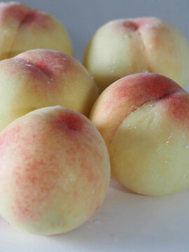 Peach produced in Okayama Prefecture, Japan