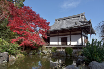 紅葉の善峯寺　薬師堂　京都市