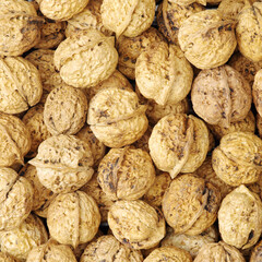 background of walnuts