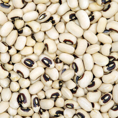 Black-eyed Beans texture background