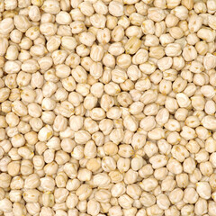 boiled chickpeas  background 