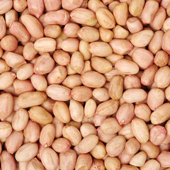 close up of peanuts