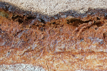 Hearth whole grain bread baguette