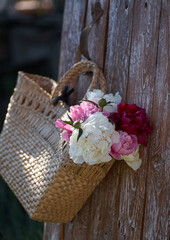 Flowers of pink red and white peonies in wicker basket on wooden table against wooden background