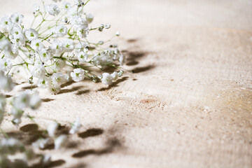 かすみ草　ナチュラルな白い花の背景