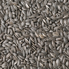 organic sunflower seed for background uses