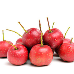 Hawthorn on white background 