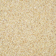 sesame seeds background 