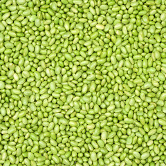 Green soybeans background