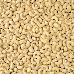 Cashews nut background