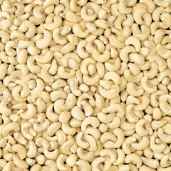 Cashews nut background