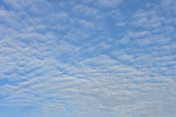 Blue sky and white clouds for background