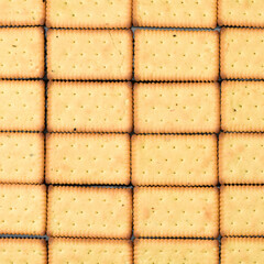 Biscuit Texture Closeup 