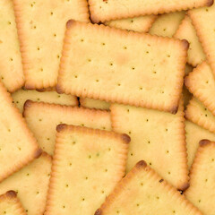 Biscuit Texture Closeup 