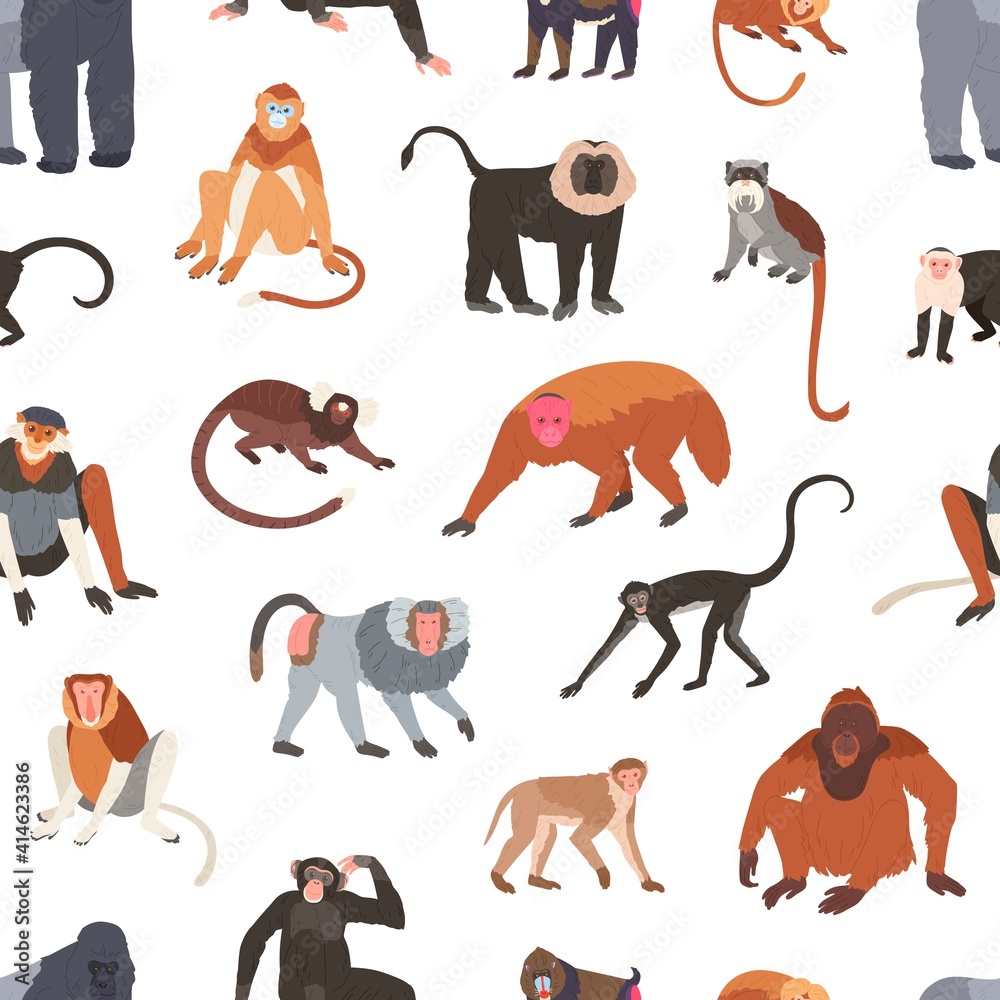 Aufkleber seamless pattern with different species of monkeys apes, baboons, chimpanzees and macaques. endless 
