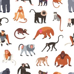 Seamless pattern with different species of monkeys apes, baboons, chimpanzees and macaques. Endless backdrop with tropical jungle animals. Colorful flat vector illustration on white background
