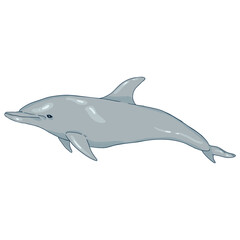 Vector Cartoon Dolphin Illustration