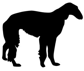 可愛いボルゾイのシルエット