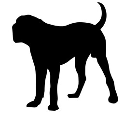 可愛い土佐犬のシルエット