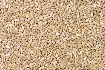 Peeled sunflower seeds pile background 