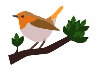 An illustration of a Robin Bird Vector