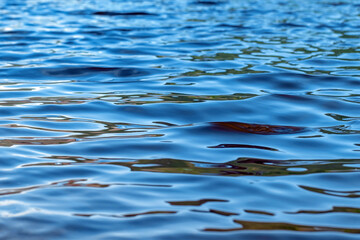 A wavy blue water surface without a shore.