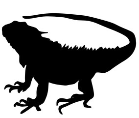 可愛いイグアナのシルエット