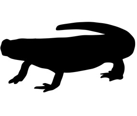 可愛いイモリ・ヤモリのシルエット