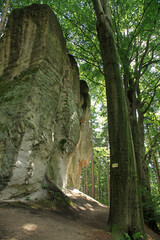 Rock formations called Glazy Krasnoludkow - Dwarf Boulders in Gorzeszow village, in Sudetes, Poland © bayazed