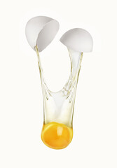 Broken egg on white background