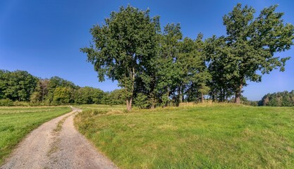 Wigglestone area Blockheide Gmuend