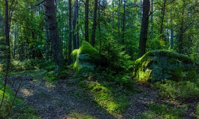 Wigglestone area Blockheide Gmuend